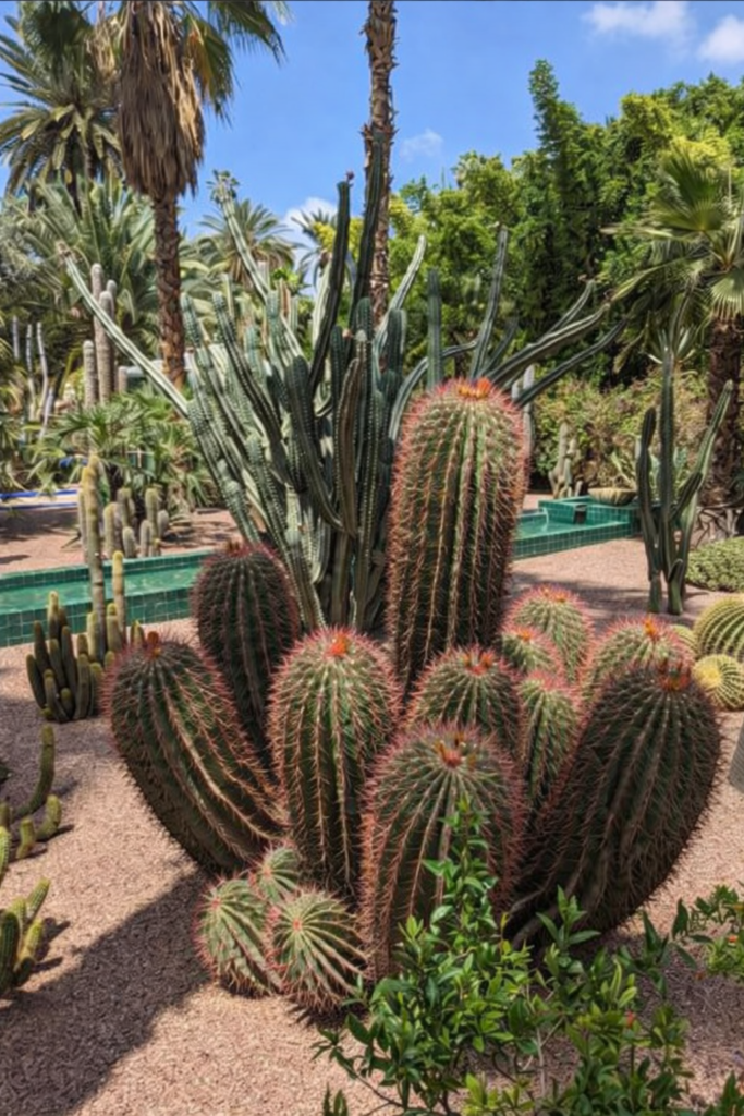 Jardin Majorelle